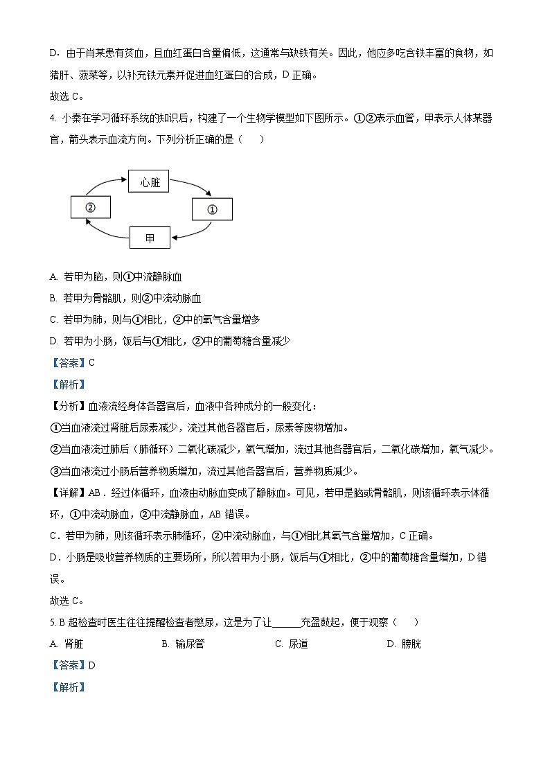 辽宁省沈阳市法库县2023-2024学年七年级下学期期末生物学试题（解析版）第3页