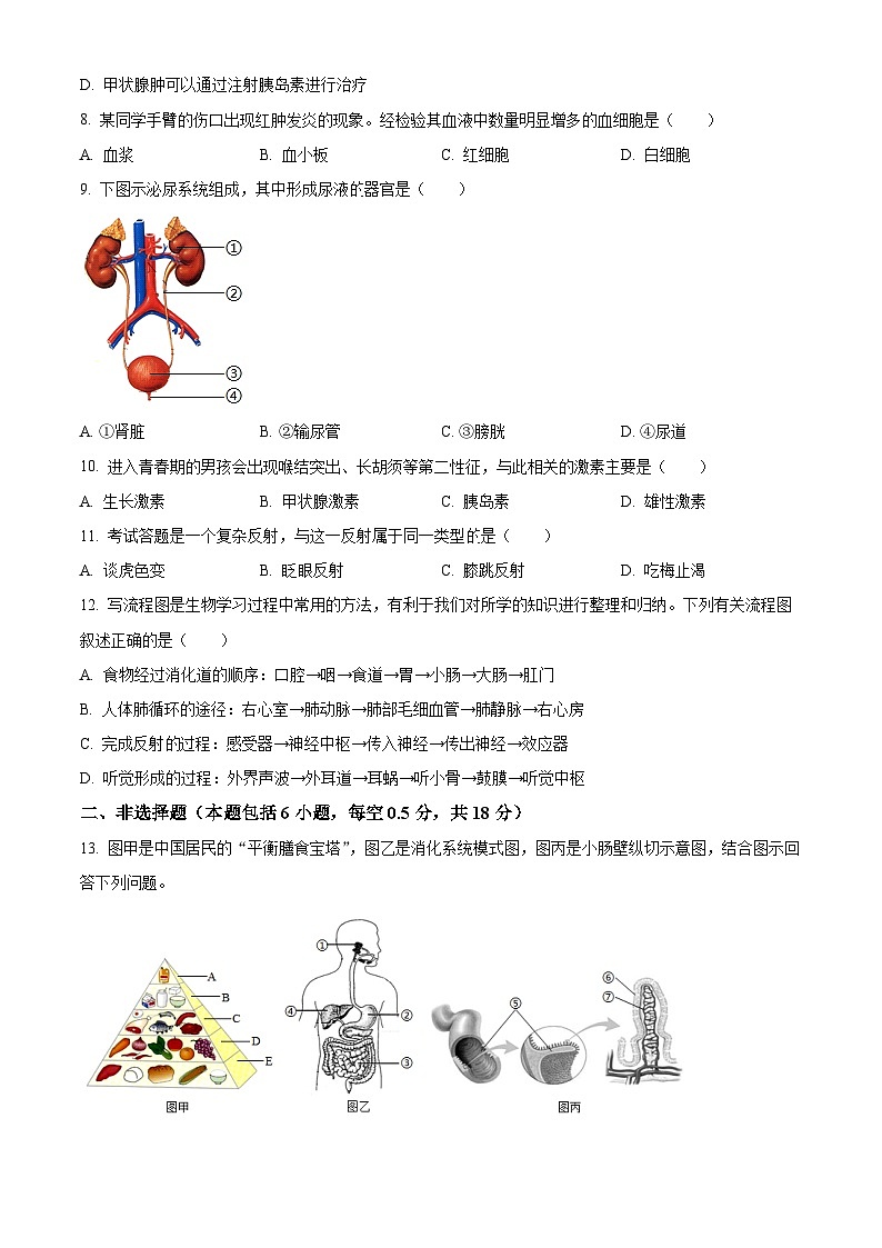 辽宁省阜新市太平区2023-2024学年七年级下学期期末生物学试题（原卷版）第2页