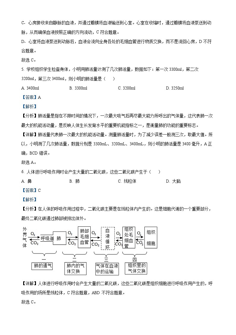 湖南省永州市祁阳市2023-2024学年七年级下学期期末生物学试题（解析版）03
