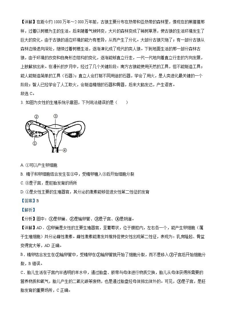 海南省省直辖县级行政单位陵水黎族自治县2023-2024学年七年级下学期期末生物学试题（解析版）第2页