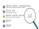 【核心素养】人教版生物七年级上册 1.1.1 观察周边环境中的生物（教学课件+同步教案+同步练习）