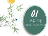 【核心素养】人教版生物七年级上册 1.1.1 观察周边环境中的生物（教学课件+同步教案+同步练习）