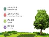 【核心素养】人教版生物七年级上册 1.1.2 生物的特征（教学课件+同步教案+同步练习）