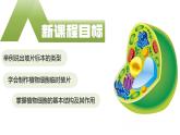 【核心素养】人教版生物七年级上册 1.2.2 植物细胞（教学课件+同步教案+同步练习）