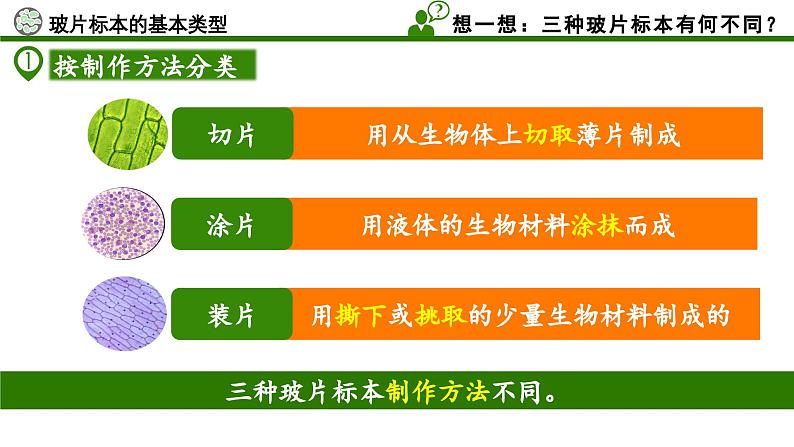 【核心素养】人教版生物七年级上册 1.2.2 植物细胞（教学课件+同步教案+同步练习）08