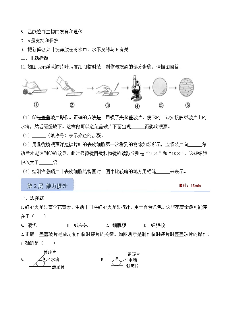 【核心素养】人教版生物七年级上册 1.2.2 植物细胞（教学课件+同步教案+同步练习）03
