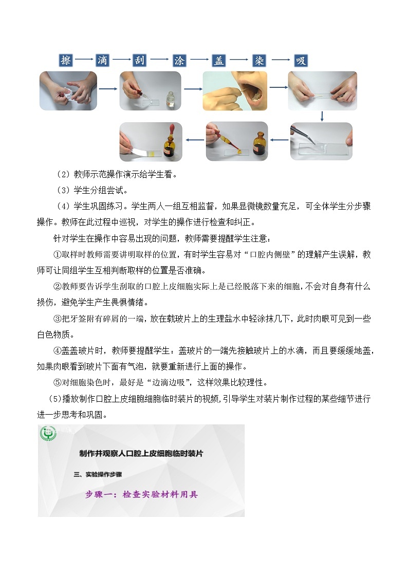 【核心素养】人教版生物七年级上册 1.2.3 动物细胞（教学课件+同步教案+同步练习）03