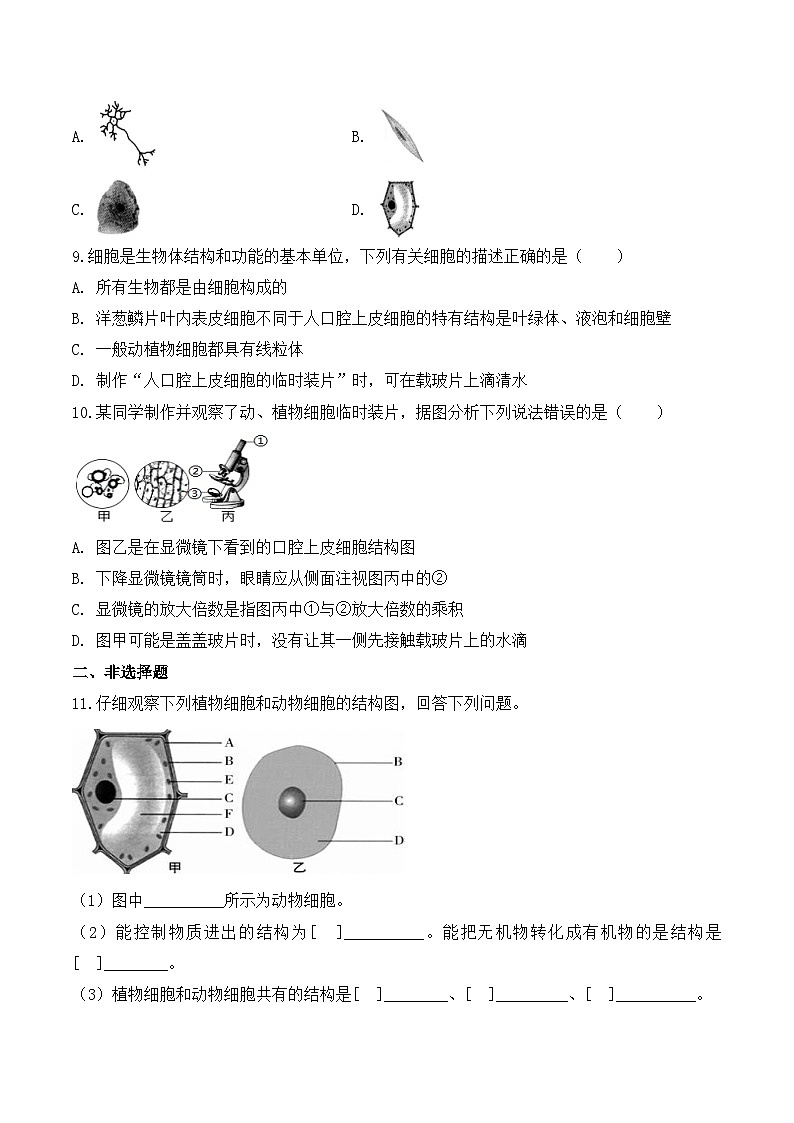 【核心素养】人教版生物七年级上册 1.2.3 动物细胞（教学课件+同步教案+同步练习）02