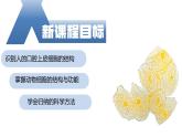 【核心素养】人教版生物七年级上册 1.2.3 动物细胞（教学课件+同步教案+同步练习）