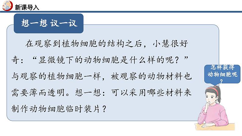 【核心素养】人教版生物七年级上册 1.2.3 动物细胞（教学课件+同步教案+同步练习）05