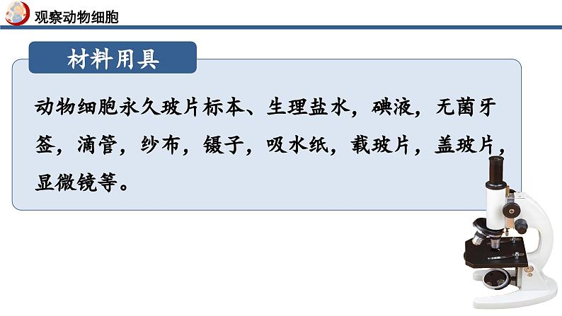 【核心素养】人教版生物七年级上册 1.2.3 动物细胞（教学课件+同步教案+同步练习）08