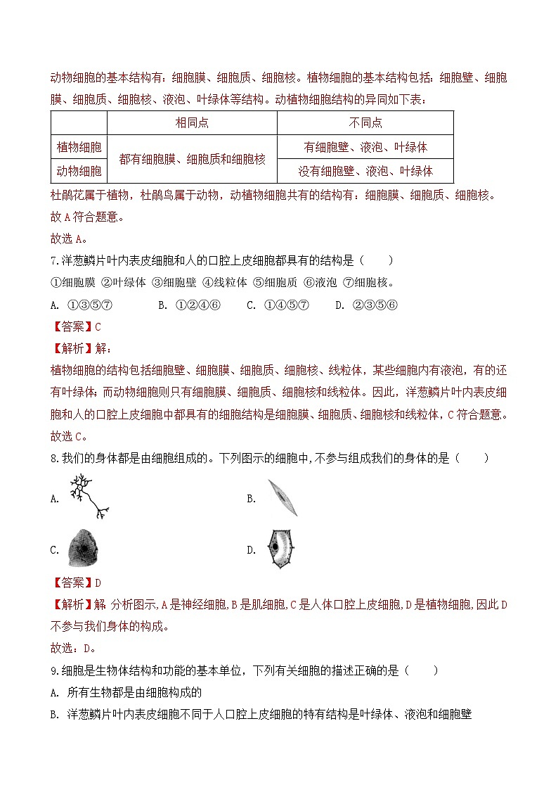 【核心素养】人教版生物七年级上册 1.2.3 动物细胞（教学课件+同步教案+同步练习）03