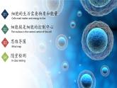 【核心素养】人教版生物七年级上册 1.2.4 细胞的生活（教学课件+同步教案+同步练习）