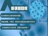 【核心素养】人教版生物七年级上册 1.2.4 细胞的生活（教学课件+同步教案+同步练习）