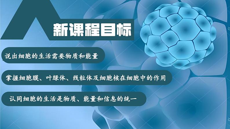 【核心素养】人教版生物七年级上册 1.2.4 细胞的生活（教学课件+同步教案+同步练习）03