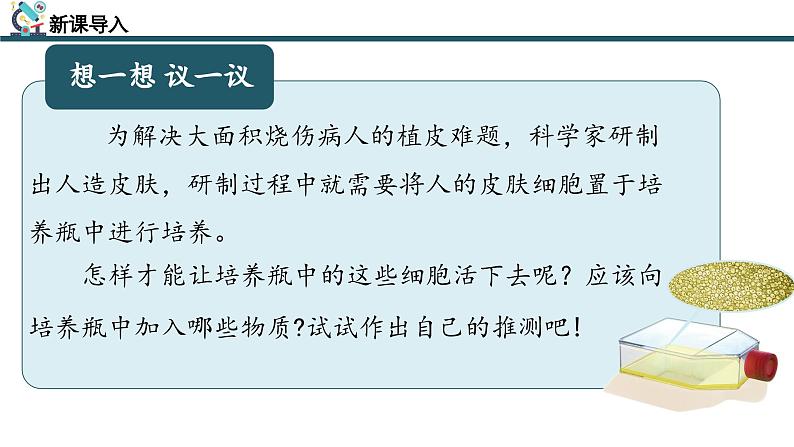 【核心素养】人教版生物七年级上册 1.2.4 细胞的生活（教学课件+同步教案+同步练习）05