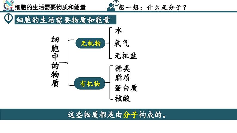 【核心素养】人教版生物七年级上册 1.2.4 细胞的生活（教学课件+同步教案+同步练习）08