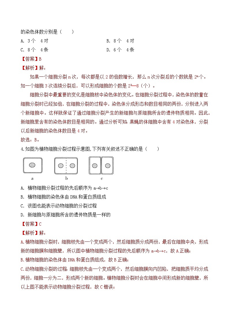 【核心素养】人教版生物七年级上册 1.3.1 细胞通过分裂产生新细胞（教学课件+同步教案+同步练习）02