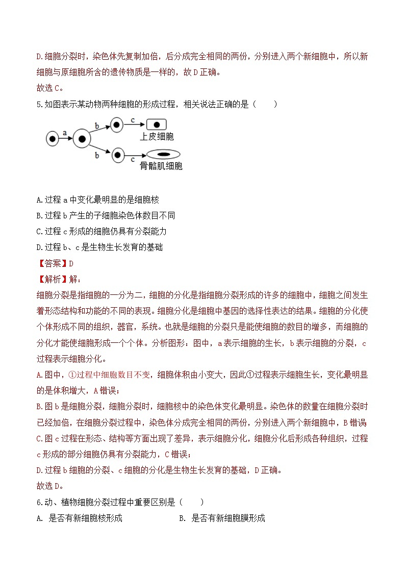 【核心素养】人教版生物七年级上册 1.3.1 细胞通过分裂产生新细胞（教学课件+同步教案+同步练习）03