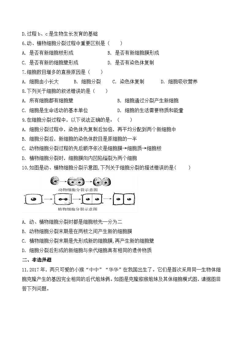 【核心素养】人教版生物七年级上册 1.3.1 细胞通过分裂产生新细胞（教学课件+同步教案+同步练习）02