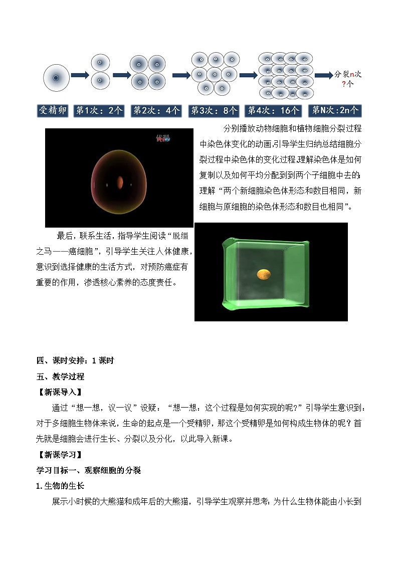 【核心素养】人教版生物七年级上册 1.3.1 细胞通过分裂产生新细胞（教学课件+同步教案+同步练习）03
