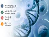【核心素养】人教版生物七年级上册 1.3.1 细胞通过分裂产生新细胞（教学课件+同步教案+同步练习）