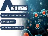 【核心素养】人教版生物七年级上册 1.3.1 细胞通过分裂产生新细胞（教学课件+同步教案+同步练习）