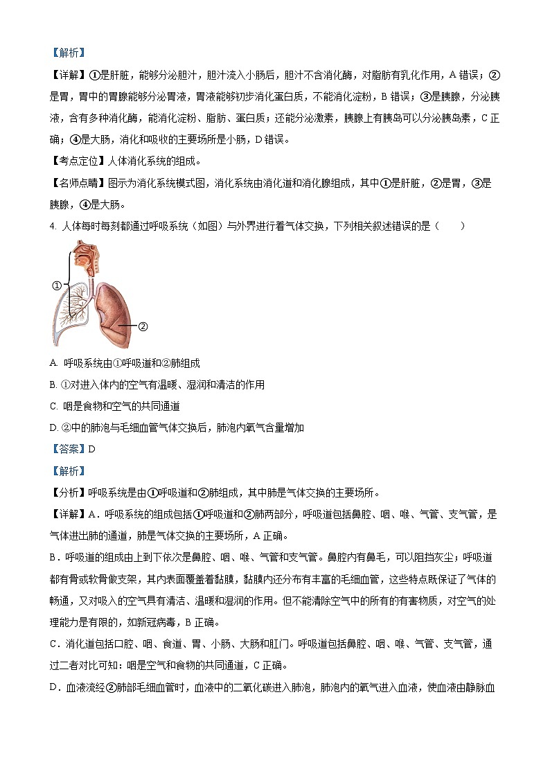 山东省临沂市兰陵县2023-2024学年七年级下学期期末生物学试题（解析版）第3页