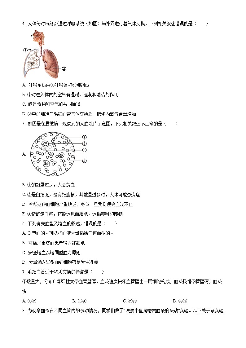 山东省临沂市兰陵县2023-2024学年七年级下学期期末生物学试题（原卷版）第2页