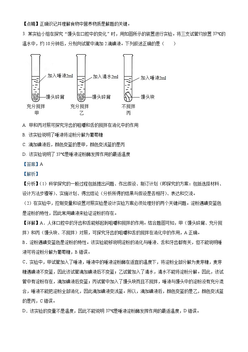 海南省省直辖县级行政单位澄迈县2023-2024学年七年级下学期期末生物学试题（解析版）第2页