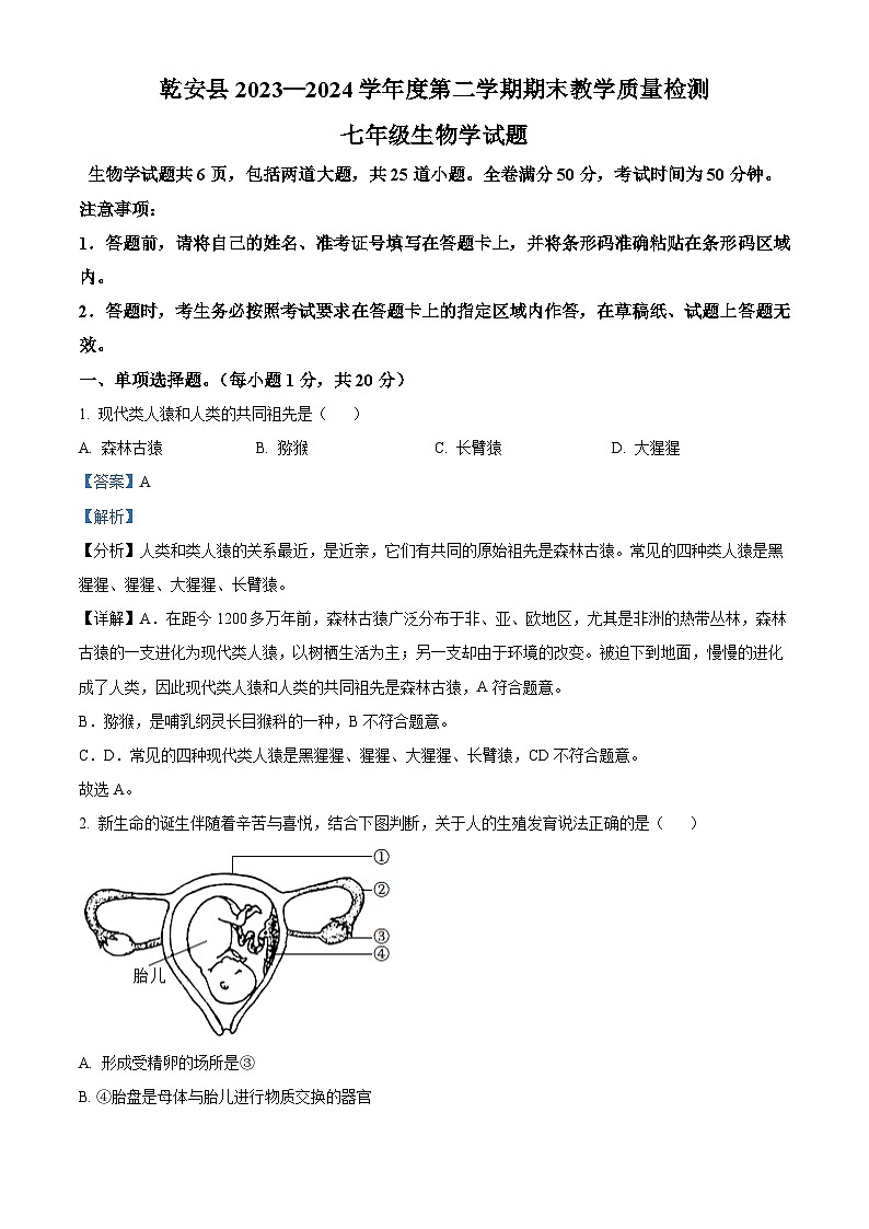 吉林省松原市乾安县2023-2024学年七年级下学期期末生物学试题（解析版）01
