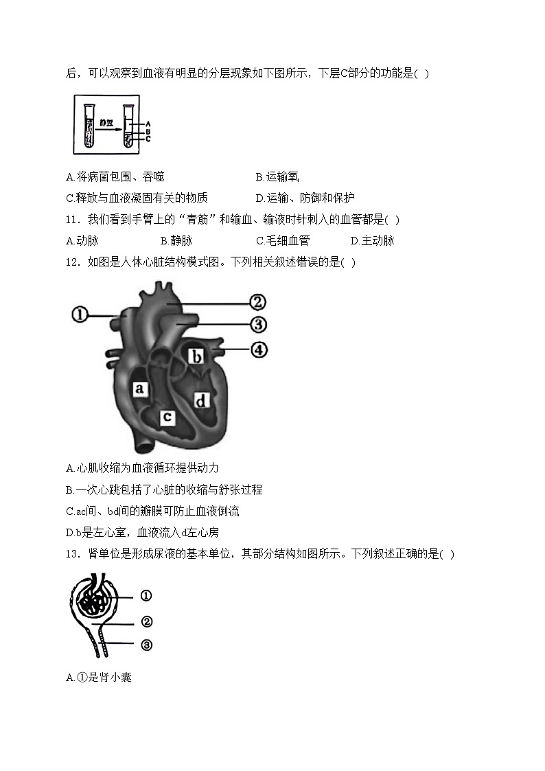 吉林省长春市长春高新技术产业开发区2023-2024学年七年级下学期期末考试生物试卷(含答案)第3页