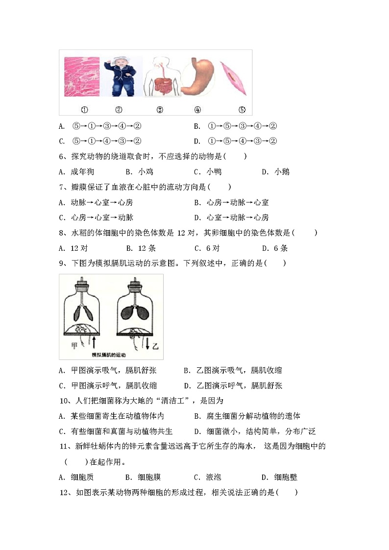 北师大版八年级上册《生物》期中测试卷(附答案)02