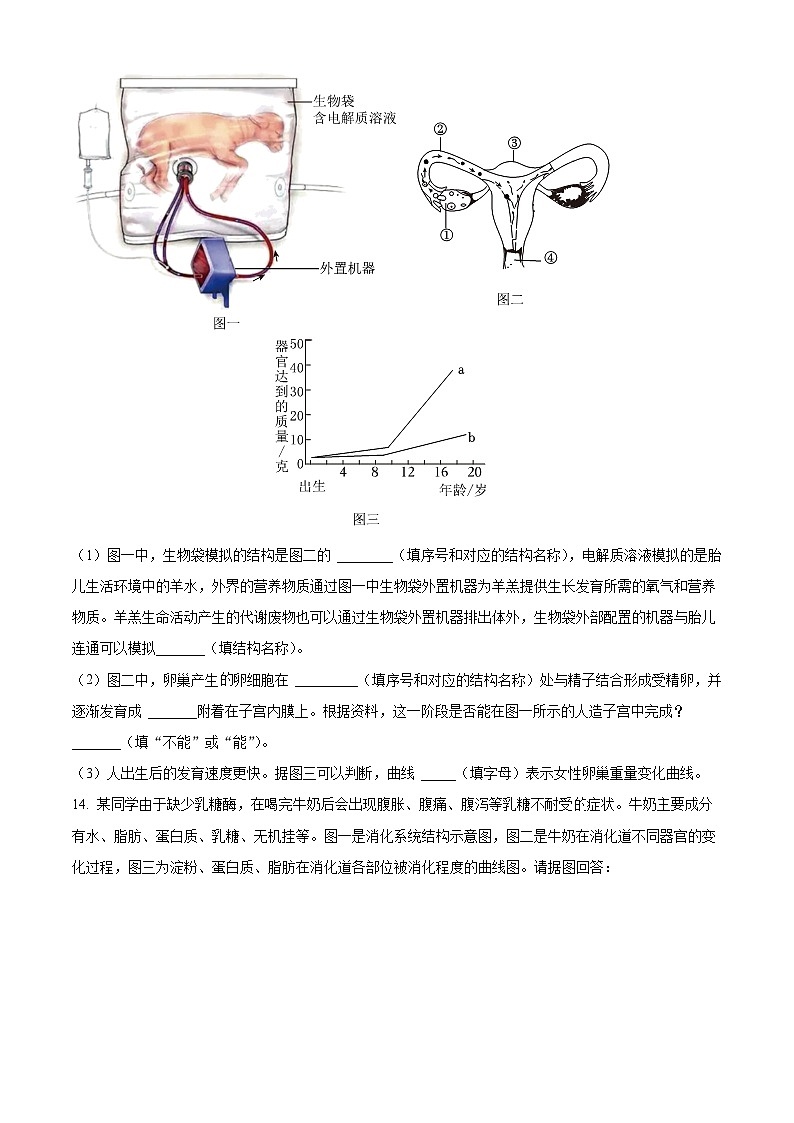 辽宁省沈阳市沈河区2023-2024学年七年级下学期期末生物学试题（原卷版）03