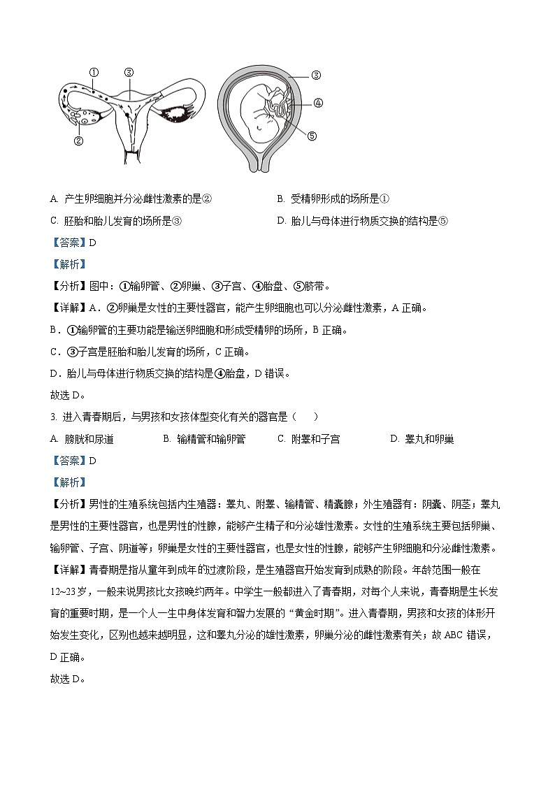 海南省省直辖县级行政单位琼海市2023-2024学年七年级下学期期末生物学试题（解析版）第2页