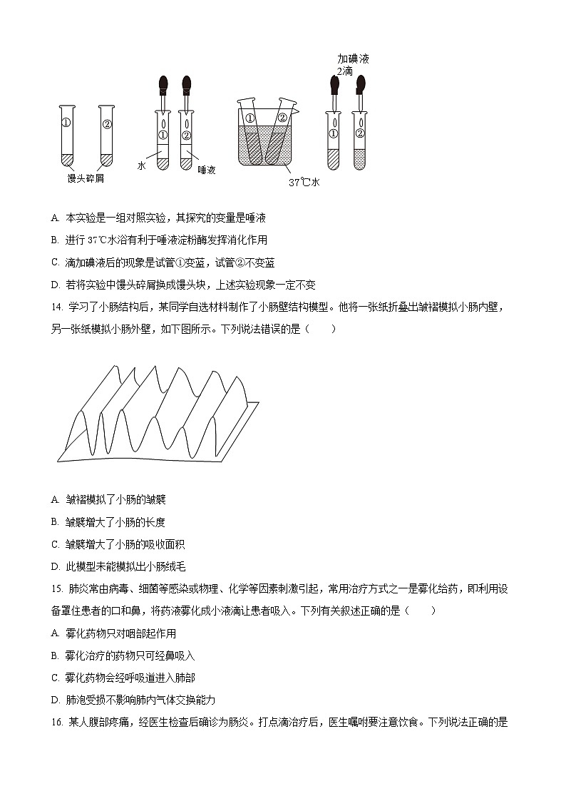海南省省直辖县级行政单位琼海市2023-2024学年七年级下学期期末生物学试题（原卷版）第3页