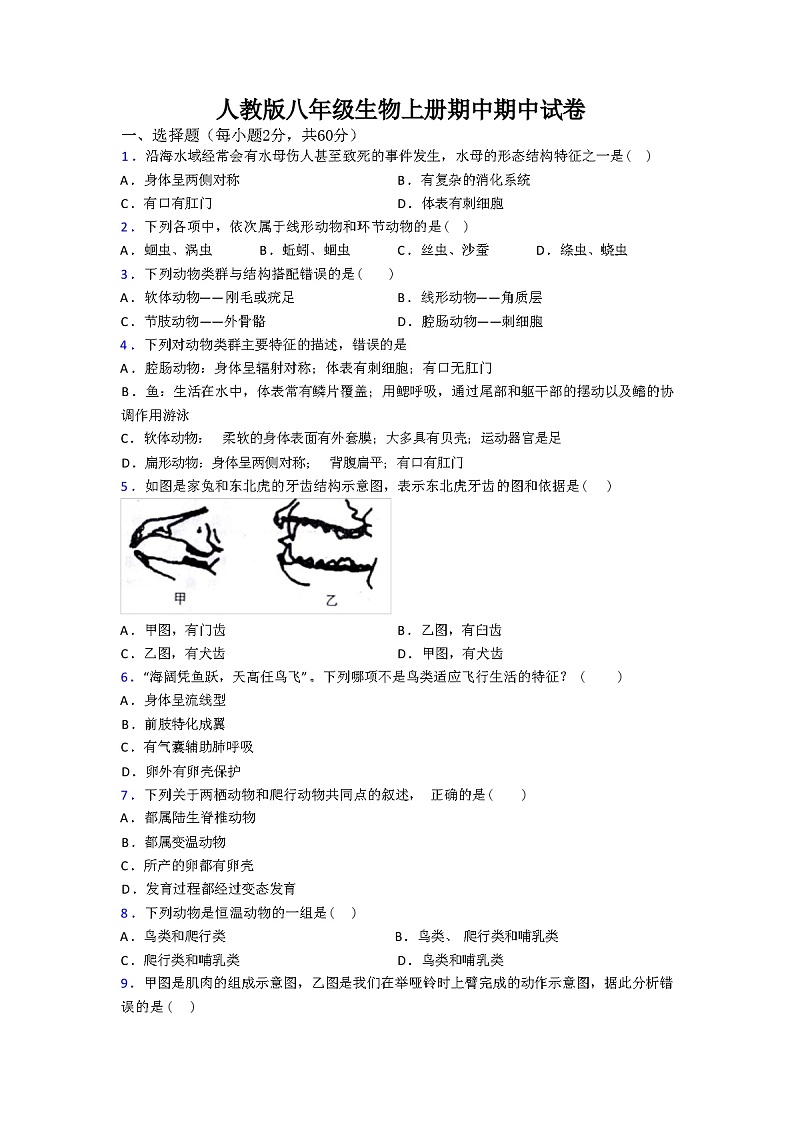 人教版八年级生物上册期中期中试卷（含答案和解析）第1页