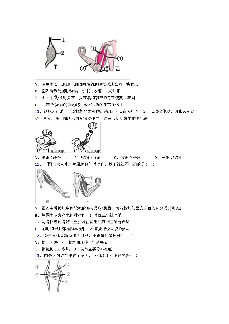 人教版八年级生物上册期中期中试卷（含答案和解析）第2页