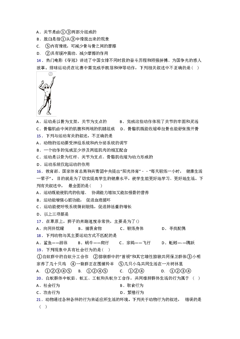 人教版八年级生物上册期中期中试卷（含答案和解析）第3页