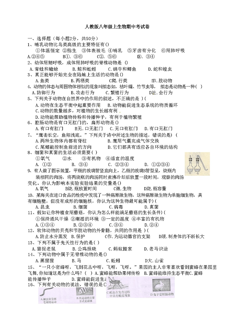 人教版年八年级生物上册期中试卷及答案第1页