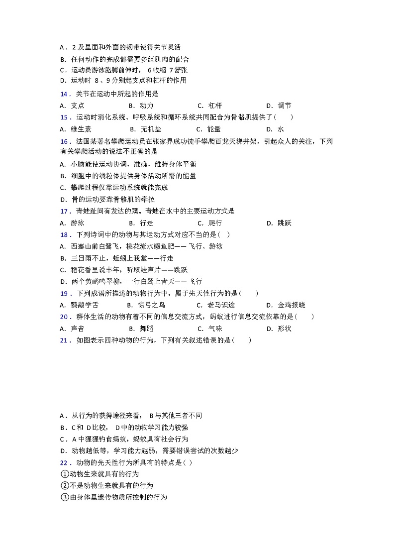人教版八年级上册期中生物期中试卷(含答案和解析)第3页