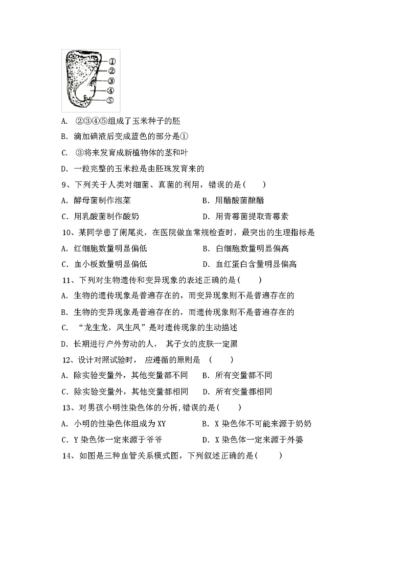 北师大版八年级生物上册期中试卷【含答案】第2页