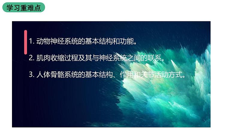 北师大版生物八上5.15.2《动物运动的形成》课件03