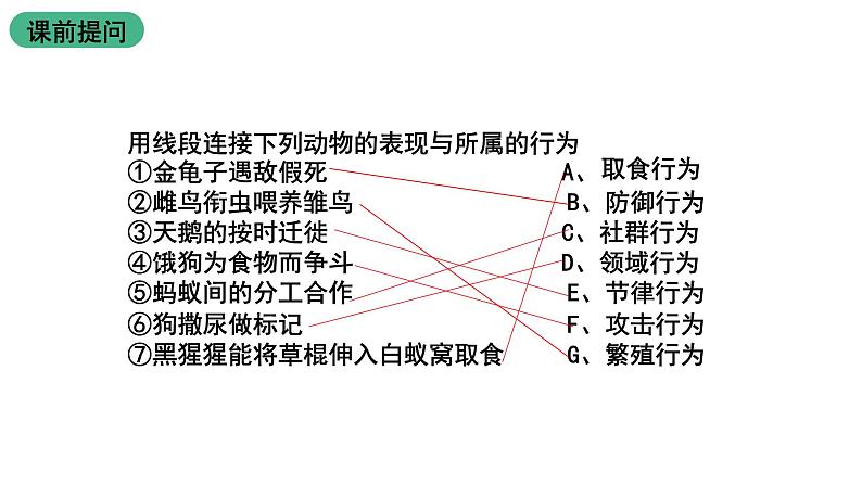 北师大版生物八上16.3《动物行为的研究》课件02