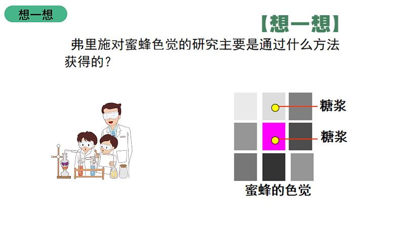 北师大版生物八上16.3《动物行为的研究》课件08