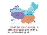 北师大版生物八上5.17.2 《我国的动物资源及保护》课件