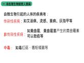 北师大版生物八上18.22《微生物与人类的关系》课件