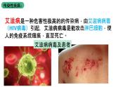 北师大版生物八上18.22《微生物与人类的关系》课件
