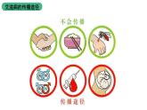 北师大版生物八上18.22《微生物与人类的关系》课件