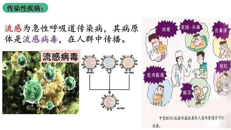 北师大版生物八上18.22《微生物与人类的关系》课件05